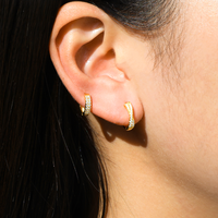 Eternal Spark Hoop Earrings