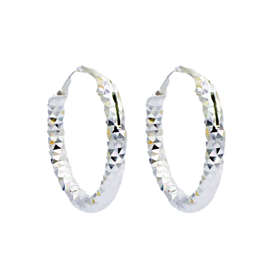Linear Luxe Hoop Earrings