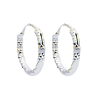 Linear Luxe Hoop Earrings