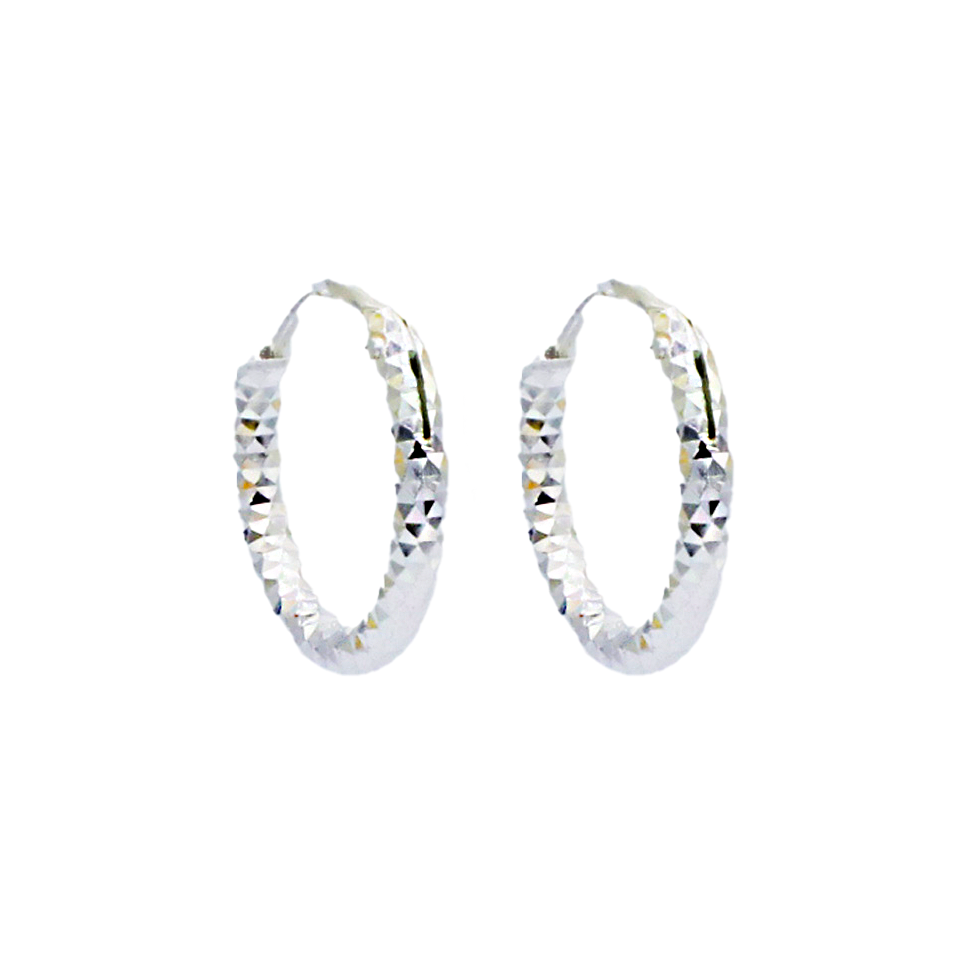 Linear Luxe Hoop Earrings