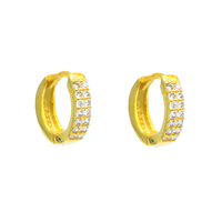 Eternal Spark Hoop Earrings