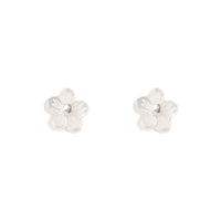Little White Flower Studs