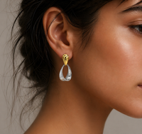 Dual Delight Earrings