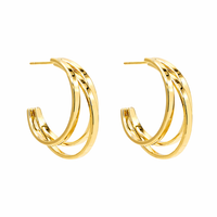 Graceful Arc Earrings