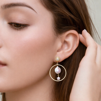 Shiny Star Earrings