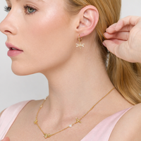 Dragonfly Dream Hoops