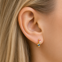 Colorful Hoops