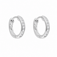 Crystal Loop Huggie Earrings