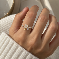 Adjustable Chain Ring